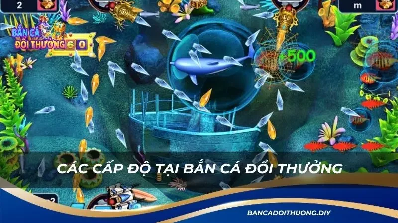 các cấp độ của trò chơi Vua hải tặc dành cho hội viên cổng game