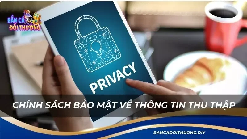 những thông tin được thu thập, bảo mật hiện nay