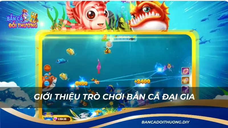 tổng quan về trò fishing đại gia