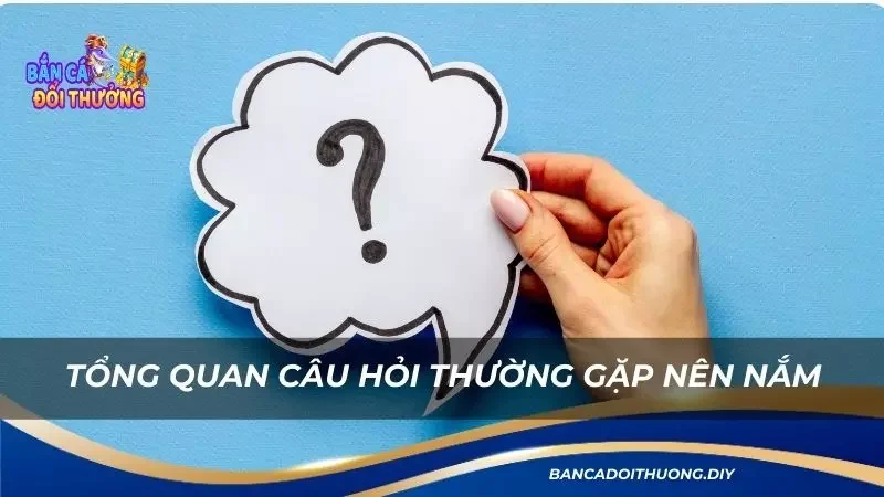 tổng quan câu hỏi thường gặp newbie nên nắm