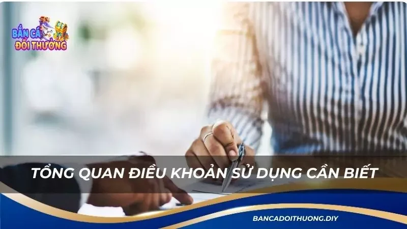 điểm qua điều khoản sử dụng